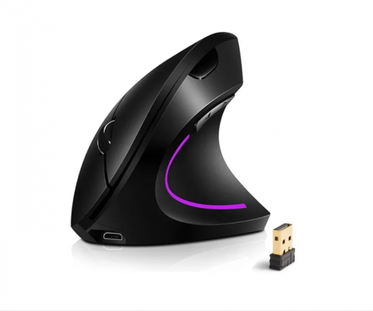 mouse
